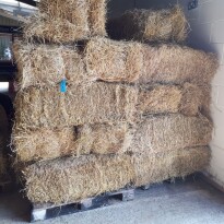Produce Auction - July timed online auction