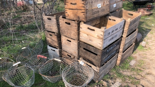 10 vintage apple crates/boxes
