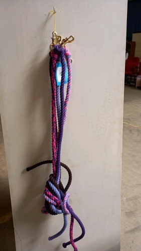 5 lead ropes