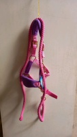 Shetland padded headcollar and rope