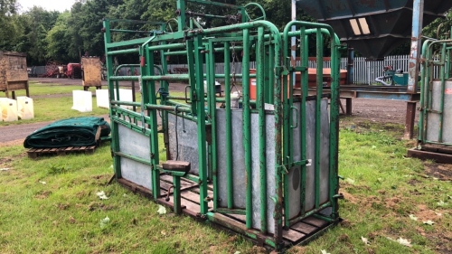 IAE cattle crush with foot kit