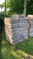 50 x chitting trays