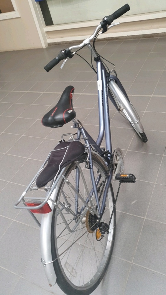 reflex windermere ladies bike