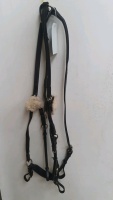 Devoucoux 5 point breastplate