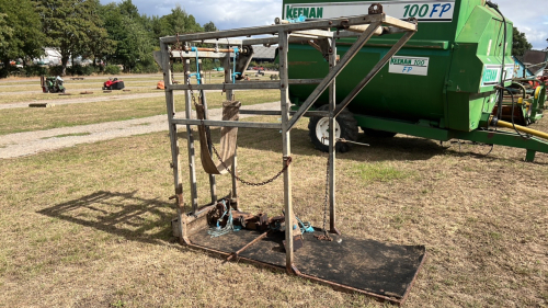 Foot trimming cattle crush