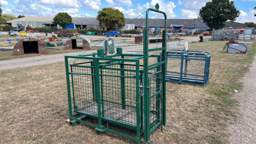 Lamb weighing scales