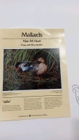 Limited edition print signed and numbered 85/250, Mallards by A M Hunt 24"x19"