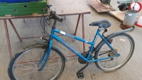 Ladies ProBike Vista Shimano bike