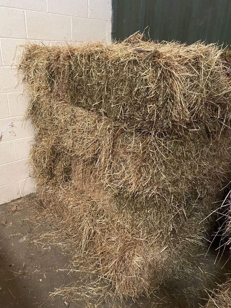 12 x bales of hay, collection from Auction Centre Produce Auction