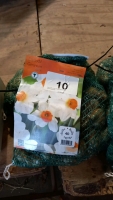 80 bulbs narcissus Geranium,white/orange