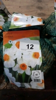 80 bulbs narcissus Geranium,white/orange