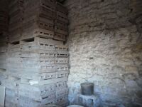 40 x chitting trays
