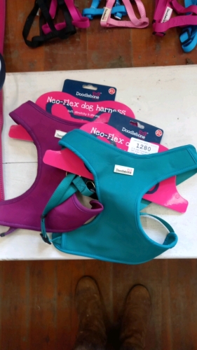 2 x new Doodlebone neo-flex dog harnesses size XL