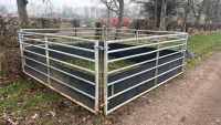 4 x Ritchie 10ft gates with pins, part stockboarded