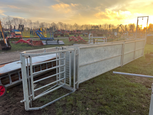 IAE sheep race c/w 4 x 8ft sheeted hurdles