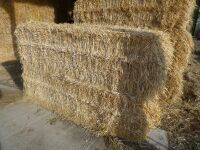 30 x quadrant 1200x700 bales of barley straw, shed stored, average weight 340kg