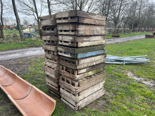 Quantity of early chitting trays