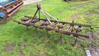 Ferguson 9-tine spring tine cultivator