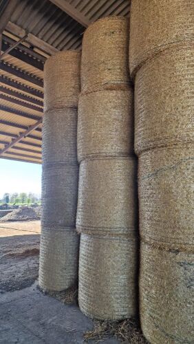 30 x round bales of wheat straw collect YO25 5NW