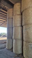 30 x round bales of wheat straw collect YO25 5NW