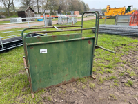 Cattle calf crush