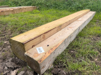 Pair of larch gate posts