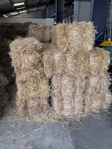 20 x small square 2-string conventional bales of straw, collect from York Auction Centre