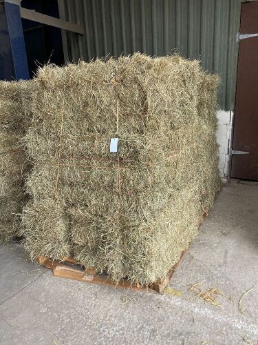 Pallet of 20 x conventional hay bales, June 2021 cut. Collect from York Auction Centre