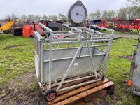 Sheep weigh crate, gwo