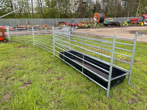 Sheep collecting pen and race, and footbath
