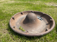 Mexican hat pig trough planter