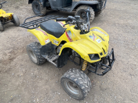 Lynx 50 child's quad bike, needs new battery otherwise gwo