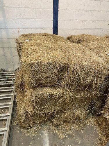 12 x Small conventional bales of 2022 cut hay, to be collected from York Auction Centre