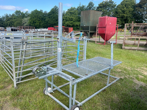 Sheep trimming stand, as new condition