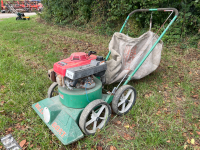 Powered push along leaf vacuum