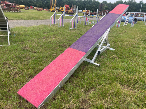 Pink and purple aluminium KC specification dog seesaw