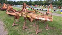 Rau Polymag 3m cultivator