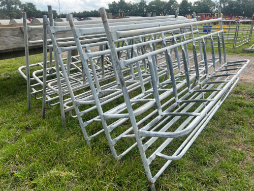 6 x galvanised calf rearing bucket holder gates