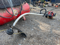 Homelite strimmer