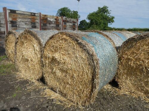 63 X bales of 2022 barley straw. Bid price per bale 