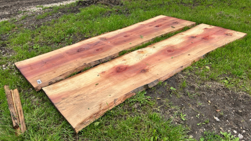 2 x Giant Redwood slabs