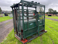 Heavy duty Morris cattle crush with weigh
