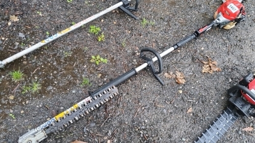 Robin long reach hedge trimmer