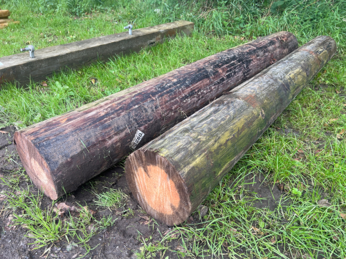 2 x 8ft telegraph pole gate posts