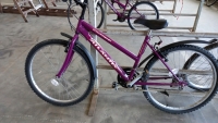 Ladies Townsend bike