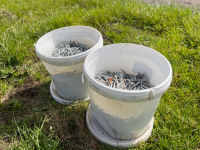 Quantity of fencing staples