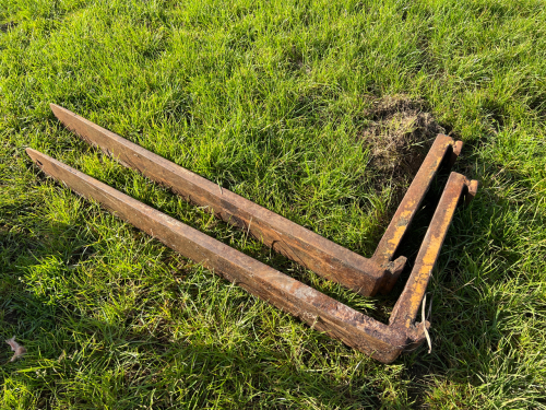 Pair of pallet forks
