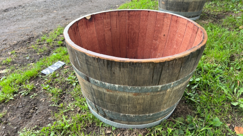 Old oak whisky barrel planter