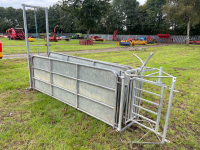 Sheep race c/w 4 x sheeted sheep race hurdles - 2