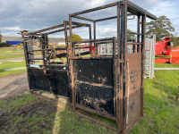 Unistock cattle crush, self locking yoke and vet inspection gates
